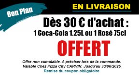 promo3 Carvin